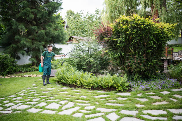 Best Local Pest Control Services  in Indian Harbour Beach, FL
