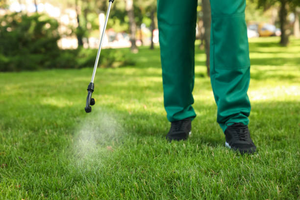 Best Commercial Pest Control Services  in Indian Harbour Beach, FL