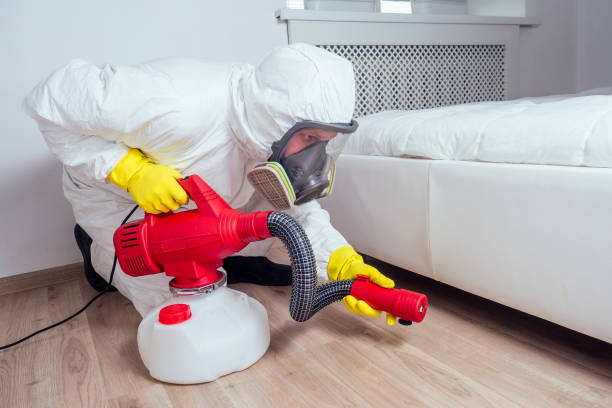 Best Residential Pest Control  in Indian Harbour Beach, FL
