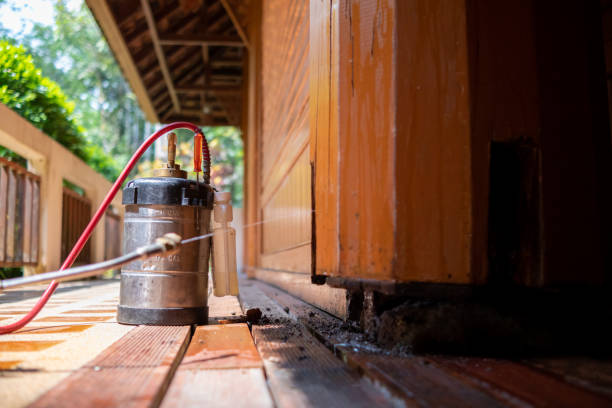 Best Mosquito Control Services  in Indian Harbour Beach, FL