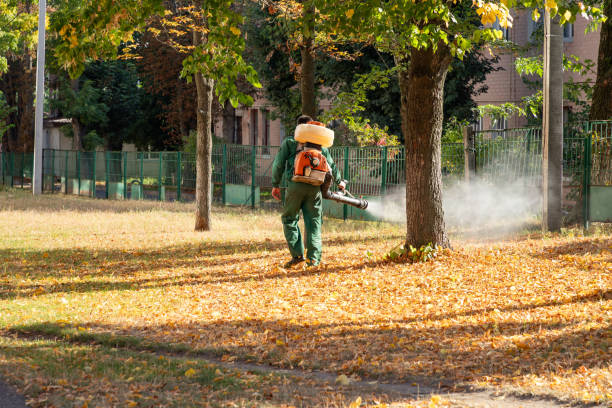 Best Cockroach Control Services  in Indian Harbour Beach, FL